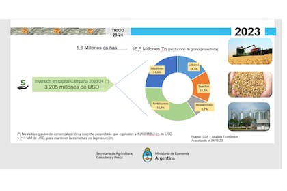 Las proyecciones de la campaña de trigo 2023/24