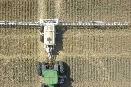 Las pulverizaciones selectivas son más eficientes y ahorran insumos