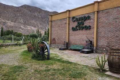 Las raíces del negocio se remontan a 1965, cuando Francisco “Paco” Lahoz apostó por plantaciones de uvas