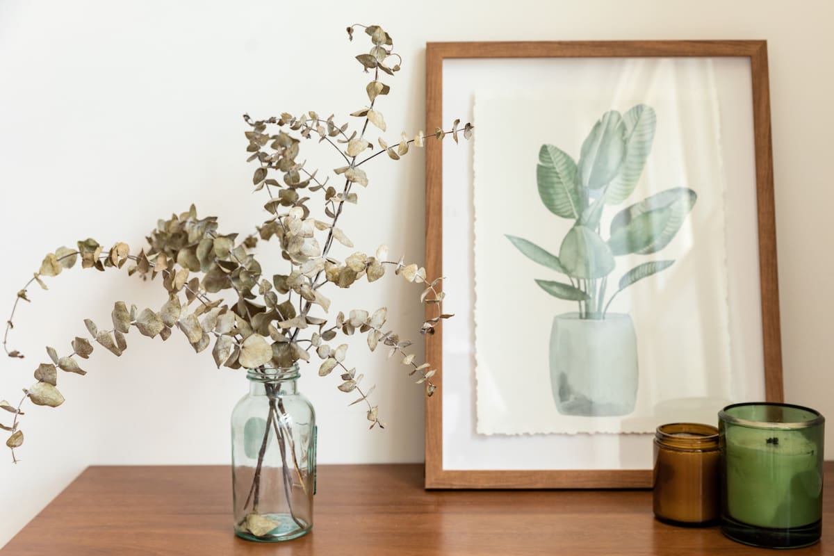 Las ramas de eucaliptos tienen muchos beneficios (Foto ilustrativa PEXELS)