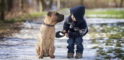 Las razas de perros más amigables para criar con niños