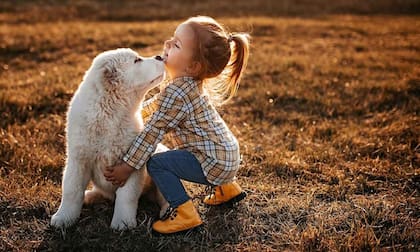 Las razas de perros más amigables para criar con niños