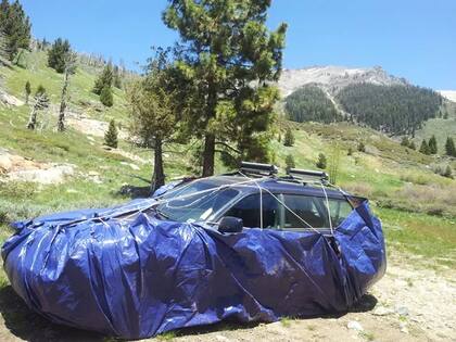Las recomendaciones de las autoridades del parque nacional para prevenir el ataque de las marmotas a los autos