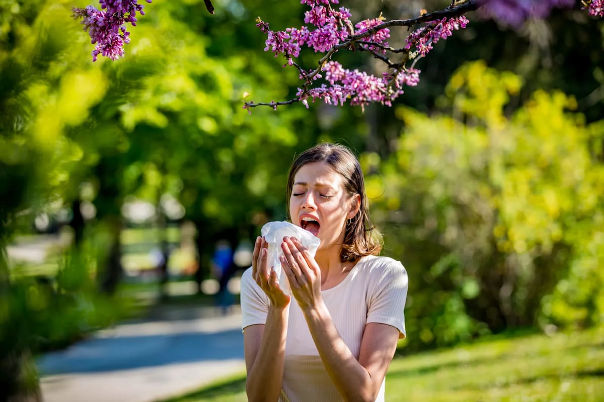 Las recomendaciones para aliviar los síntomas de la alergia
