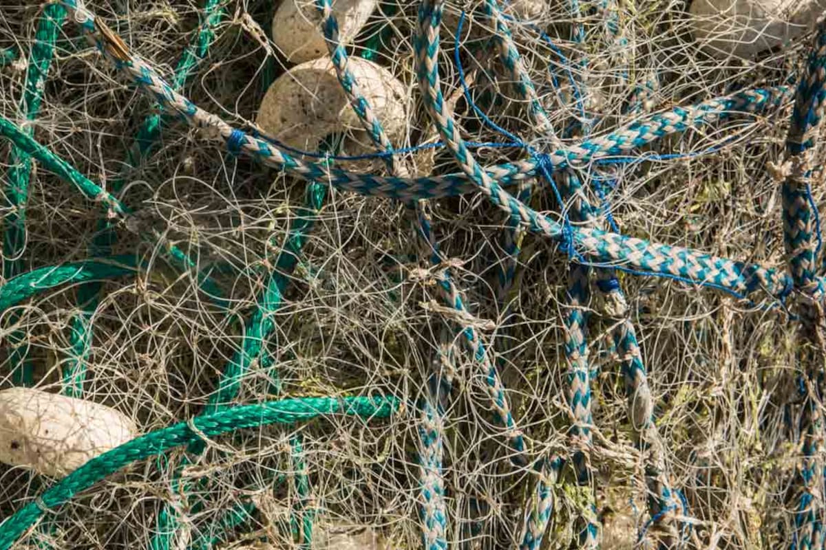 Las redes de los pescadores en la Laguna de Rocha.