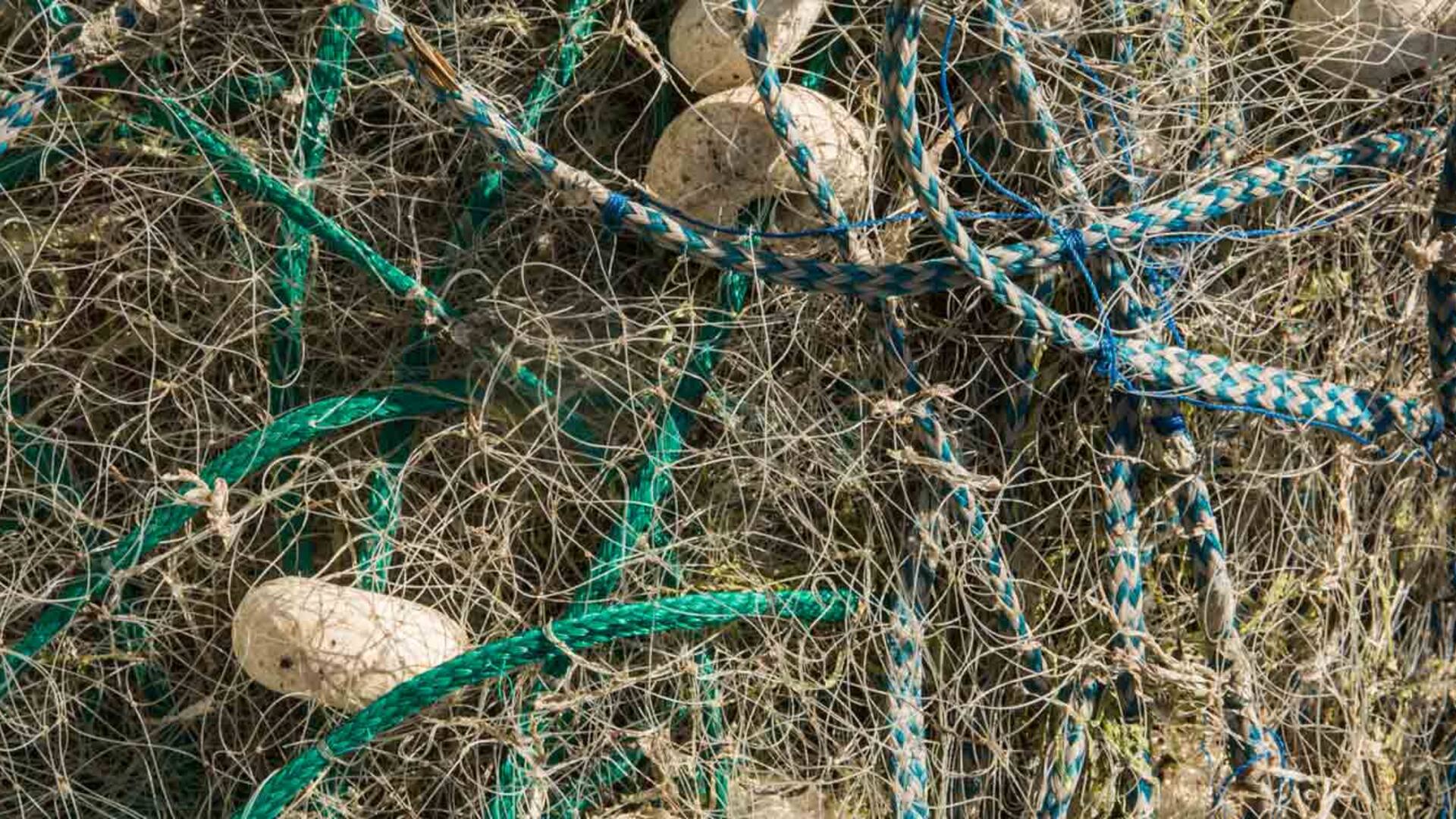 Las redes de los pescadores en la Laguna de Rocha.
