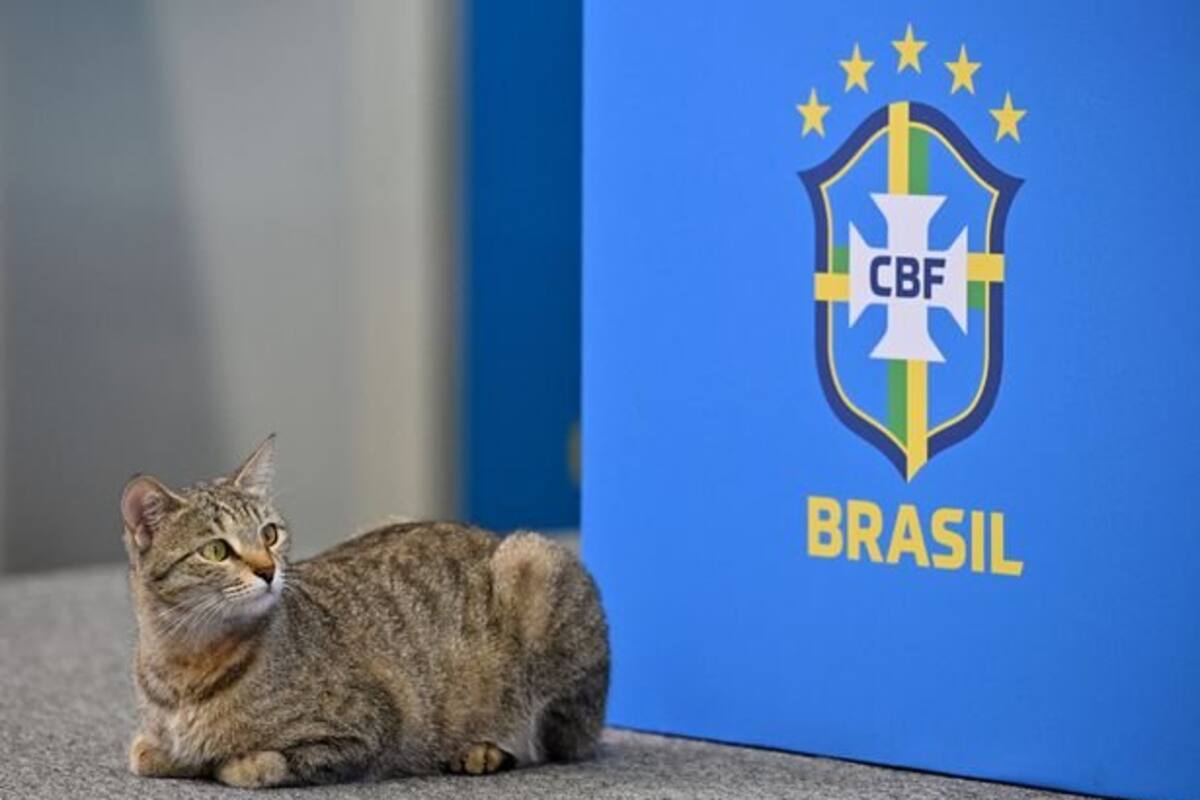 Las redes se llenaron de memes tras la eliminación de Brasil ante Croacia en los penales del Mundial