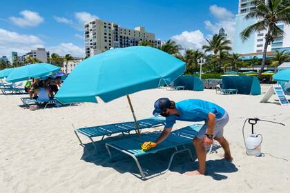 Las reposeras del Margaritaville en Hollywood Beach,que reabrió hace una semana, se limpian después de que cada pasajero las use o toque