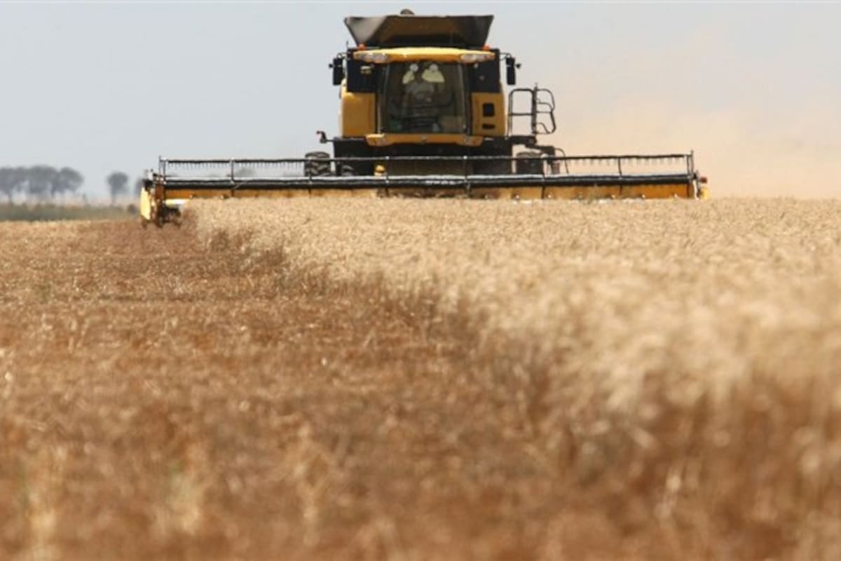 Las restricciones al trigo provocaron un aumento en el precio de la harina y del pan