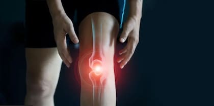 Las rodillas juegan un papel fundamental en la estabilidad y movilidad del cuerpo