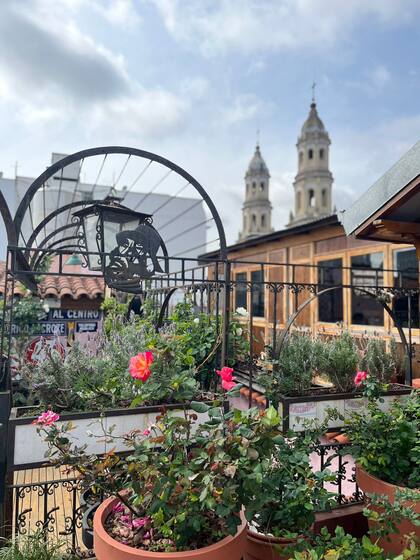 Las rosas empiezan a cobrar vida en el pequeño rosedal de la terraza a Juan Carlos Pallarols