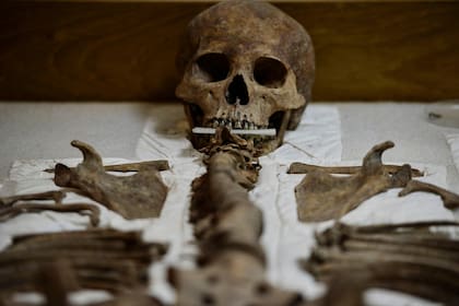 Los restos de un chamán maya se ven en las Ruinas de Copán
