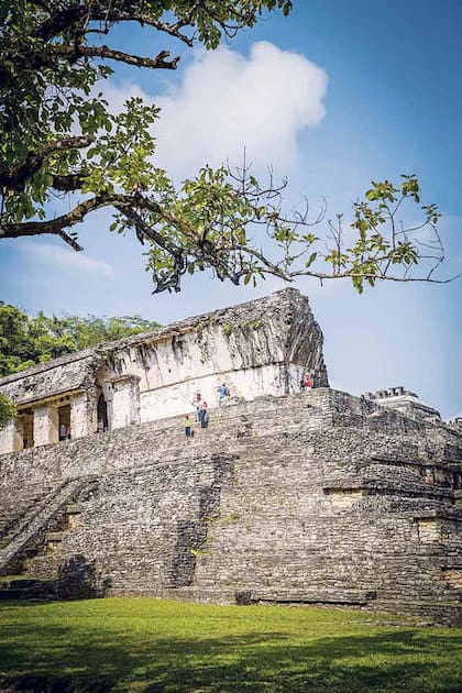 Las ruinas de Palenque, uno de los sitios a los que acerca el tren