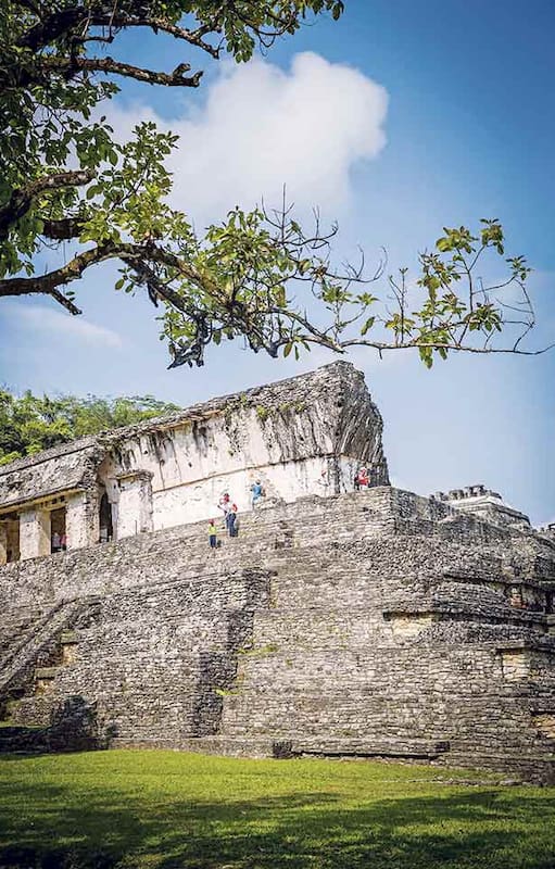 Las ruinas de Palenque.