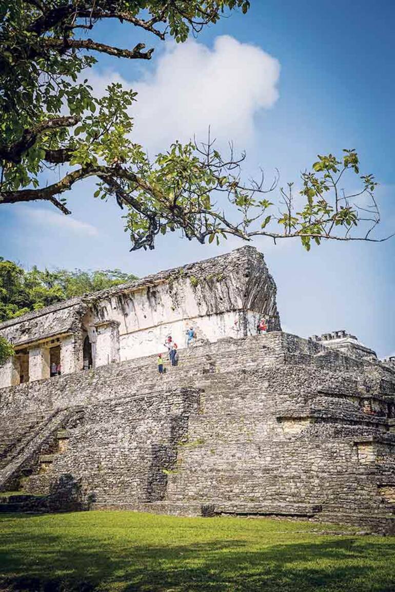 Las ruinas de Palenque.
