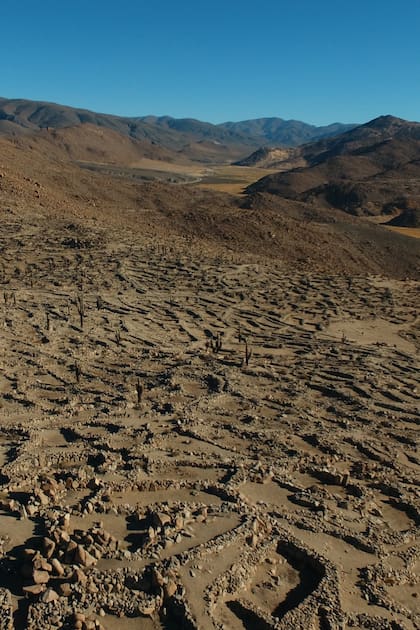 Las Ruinas de Tastil están a 3200 msnm, en la quebrada del Toro, en Salta