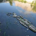 La sequía golpea a Italia: el río Po toca mínimos récord y Suiza envía agua para salvar los cultivos
