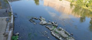La sequía golpea a Italia: el río Po toca mínimos récord y Suiza envía agua para salvar los cultivos