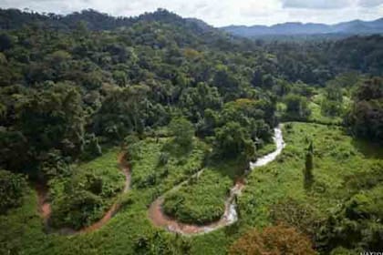 Las ruinas fueron identificadas primero en mayo de 2012 en un valle remoto en La Mosquitia. Foto: cortesía National Geographic.