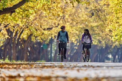 Las salidas recreativas de 500 metros, ahora incluyen a los corredores y a quienes usan bicicletas. Estas actividades se permiten hasta un radio de 5 kilómetros del domicilio.