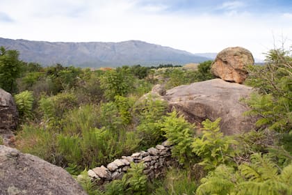 Las seis hectáreas elegidas están a 800 metros de altura con mucho verde y vista panorámica de las sierras