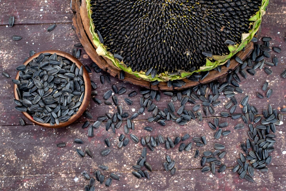 Las semillas de girasol son un snack saludable, recomendado para evitar la fatiga mental