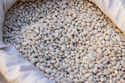 Las semillas de sésamo son ricas en proteínas, grasas saludables, hierro, zinc y fibra