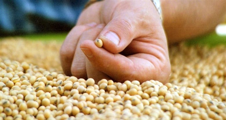 Ley de semillas: campo e industria definen el uso propio