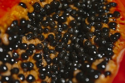Las semillas molidas de papaya pueden utilizarse como un exfoliante natural debido a su textura áspera y propiedades enzimáticas