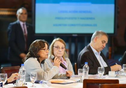 Las senadora catamarqueña Lucia Corpacci