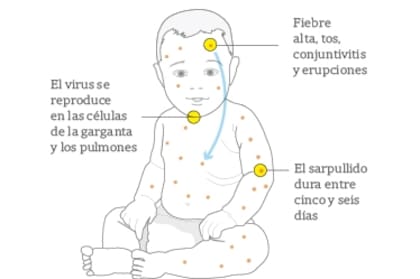 Las señales de alerta