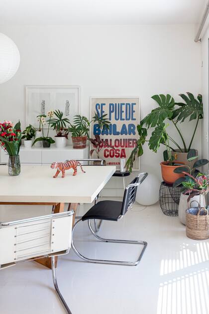 Las sillas Mr de Mies van der Rohe, clásico de diseño nodernista, se suavizan de la mano de plantas de interiores y una selección de posters.