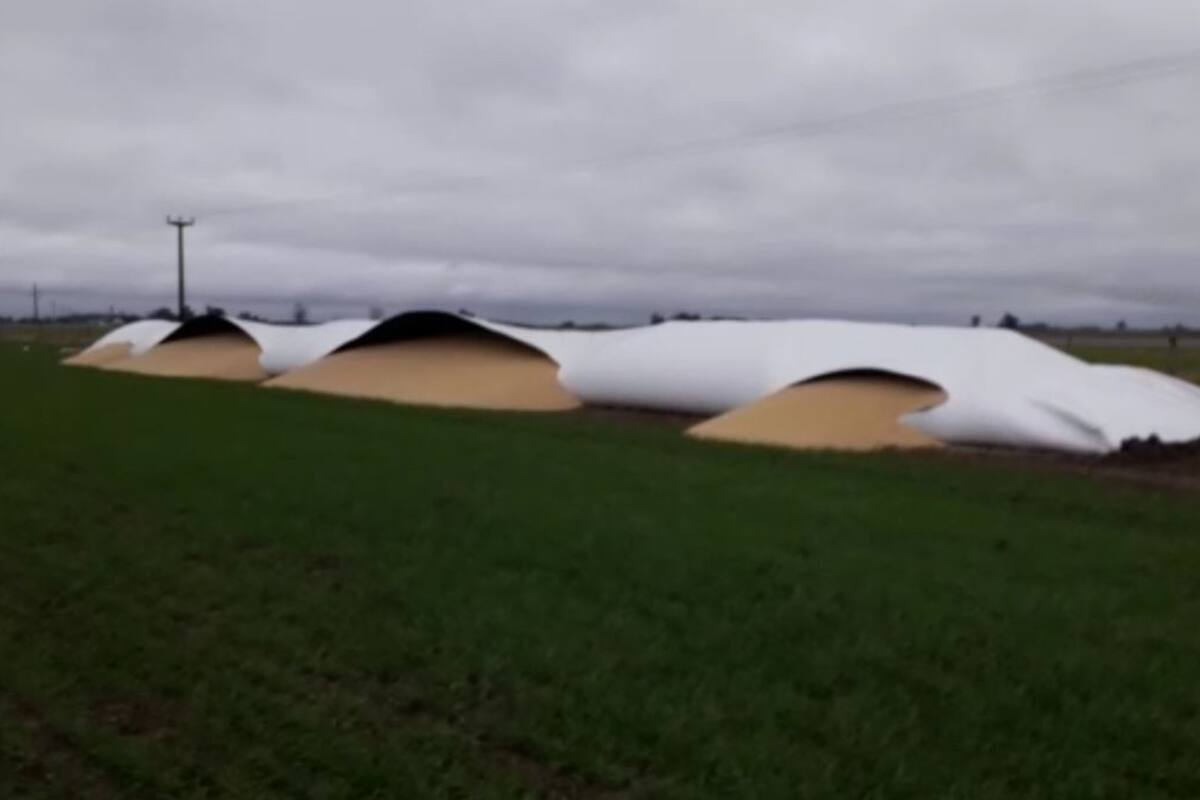 Las silobolsas del video vandalizadas