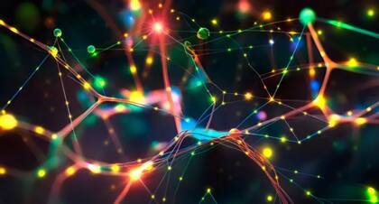 Las sinapsis, que son las conexiones entre las células cerebrales, se fortalecen mientras una persona permanece despierta