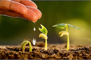Agri-foodtech: radiografía en el país de un sector que recibe millones