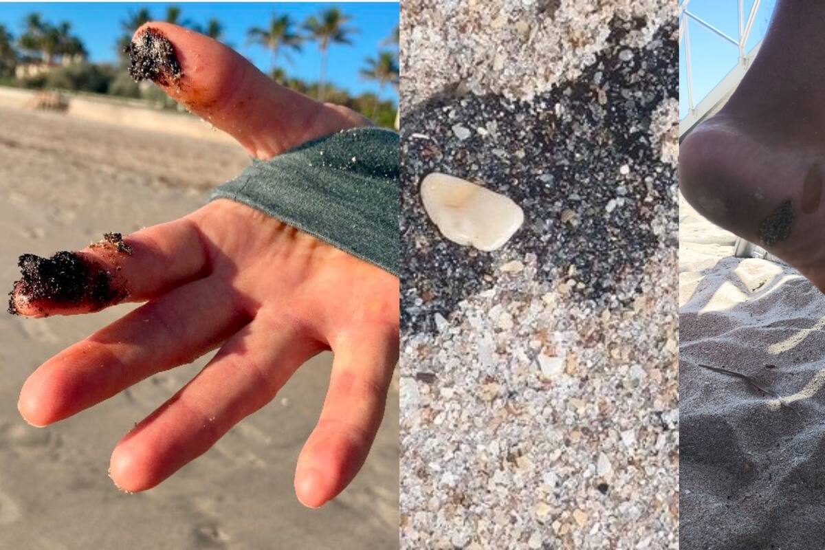 Las "tar balls" o bolas de alquitrán aparecieron en las redes sociales de los residentes de Florida