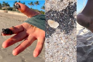 Las "tar balls" o bolas de alquitrán aparecieron en las redes sociales de los residentes de Florida