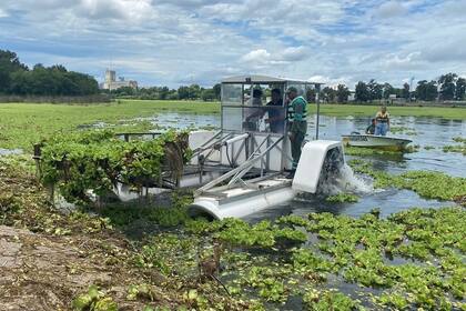 Las tareas de limpieza en el lago del Parque General Belgrano
