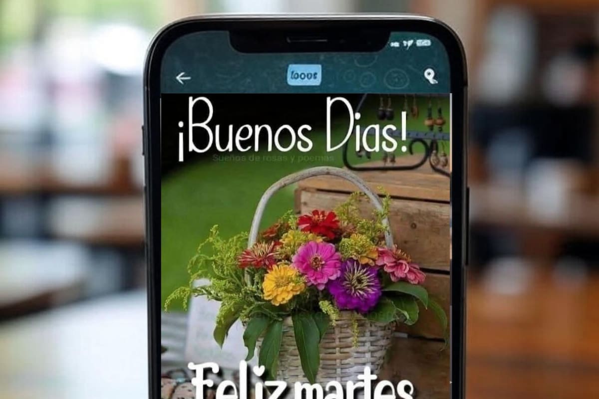 Las tarjetas para enviar por WhatsApp