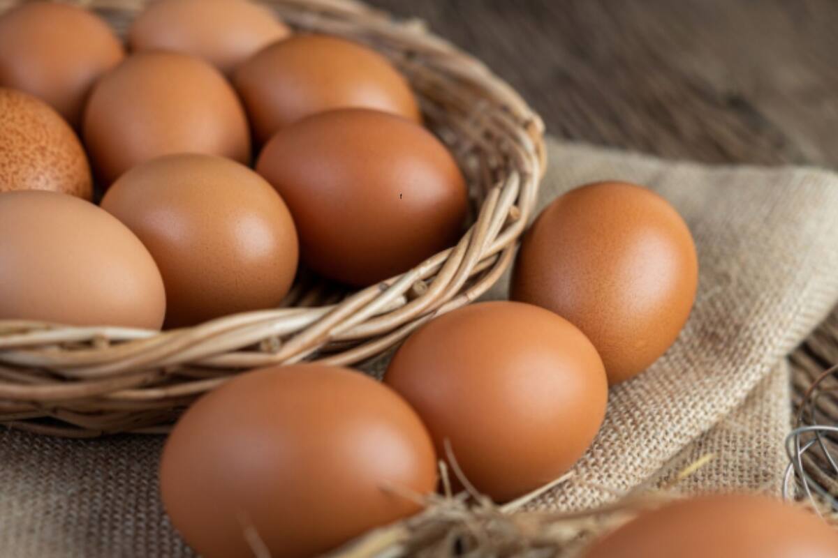 Las técnicas que potencian el valor nutricional del huevo