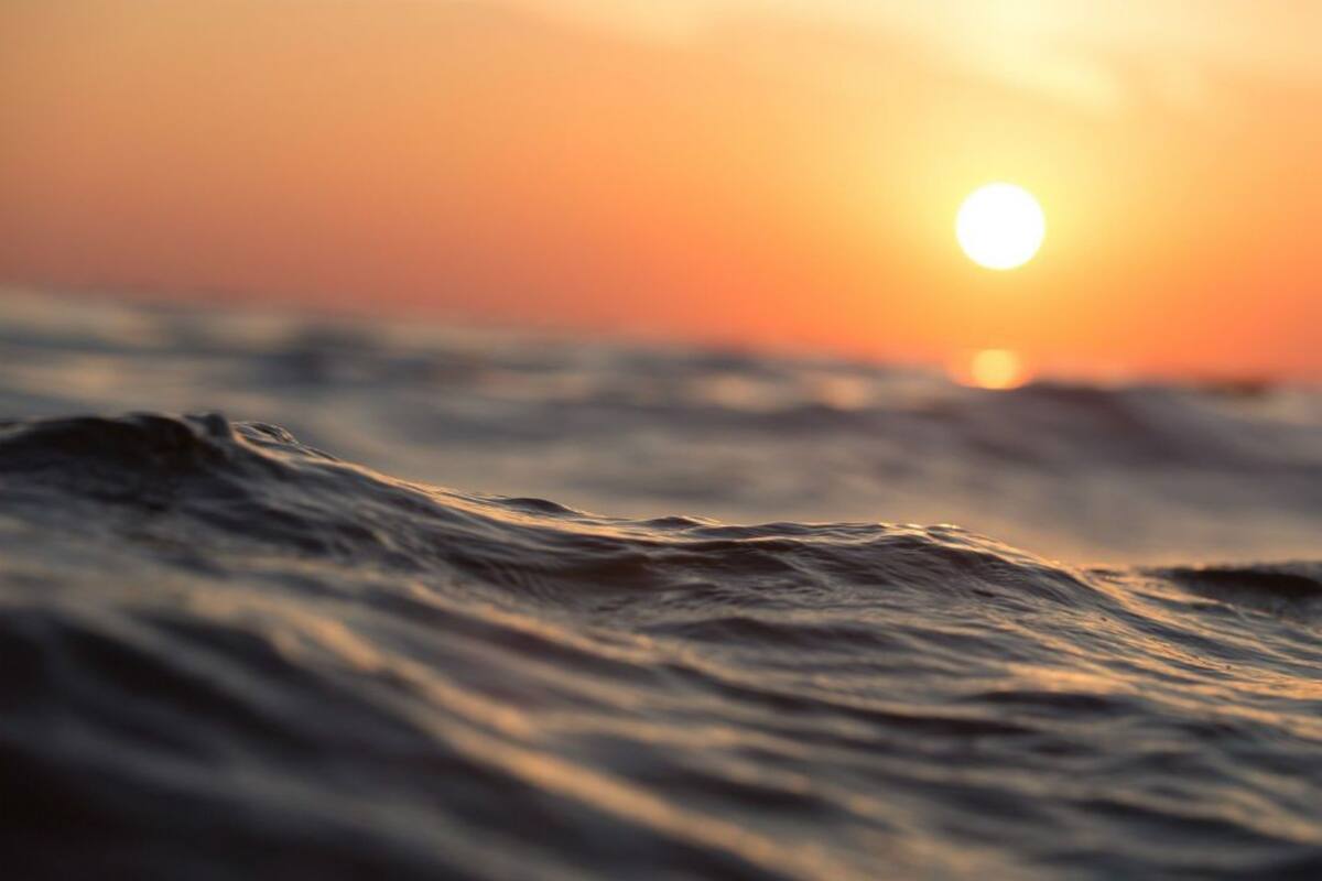 Las temperaturas del océano continuaron una tendencia a batir récords en 2020