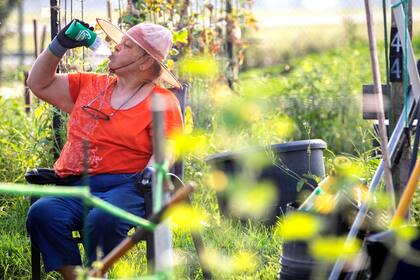 Las temperaturas en algunas partes de Texas podrían superar los 43 grados en las próximas horas (Jason Fochtman/Houston Chronicle vía AP)