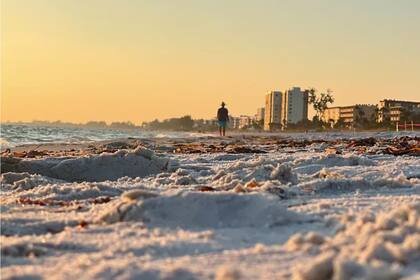 Las temperaturas en el norte y centro de Florida descendieron de los 80°F (27°C) a los 50°F (10°C)
