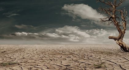Las temperaturas llegarían a 50°, inhabitable para los humanos