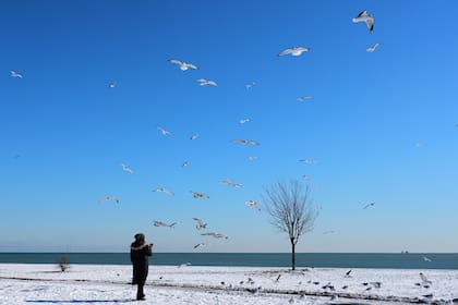 Las temperaturas máximas diarias suelen rondar los 38°F (3°C) en invierno y rara vez superan los 55°F (12°C)