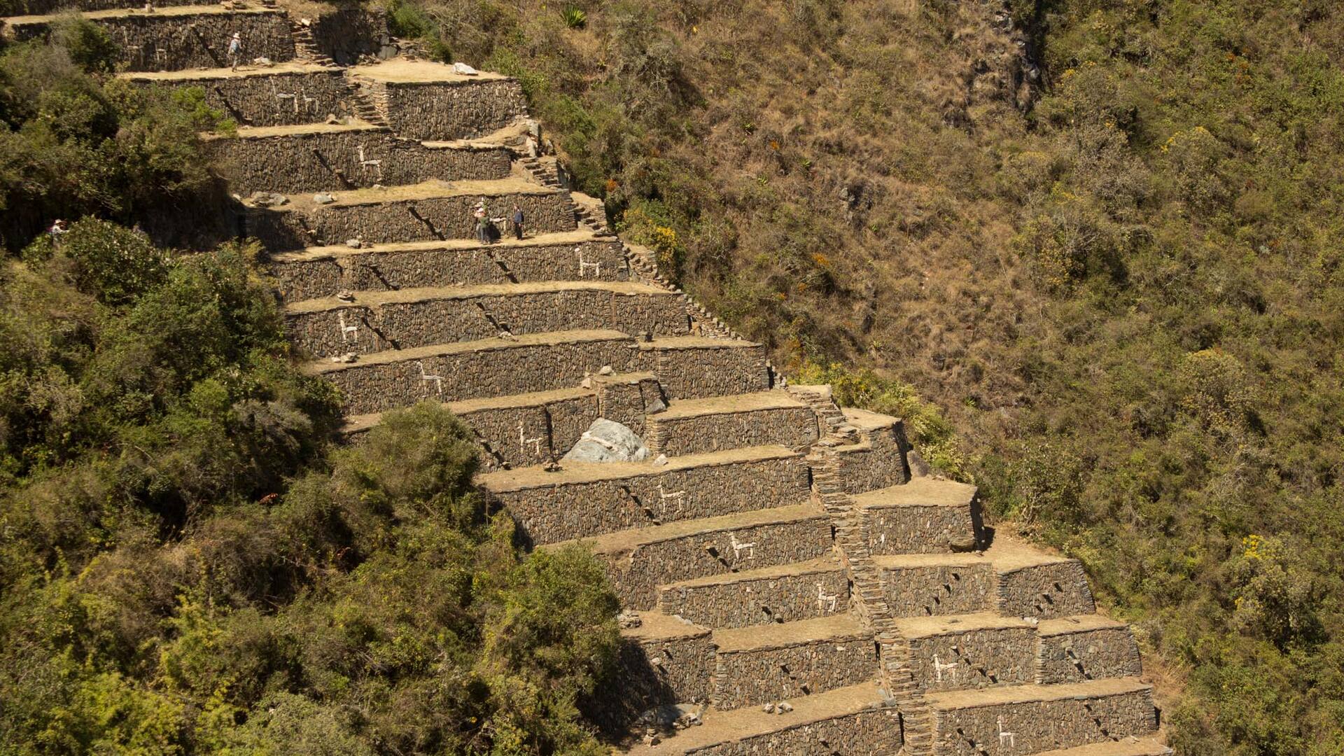 Las terrazas decoradas con llamas, símbolo de Choquequirao. Foto: Luis Agote