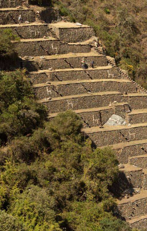 Las terrazas decoradas con llamas, símbolo de Choquequirao. Foto: Luis Agote