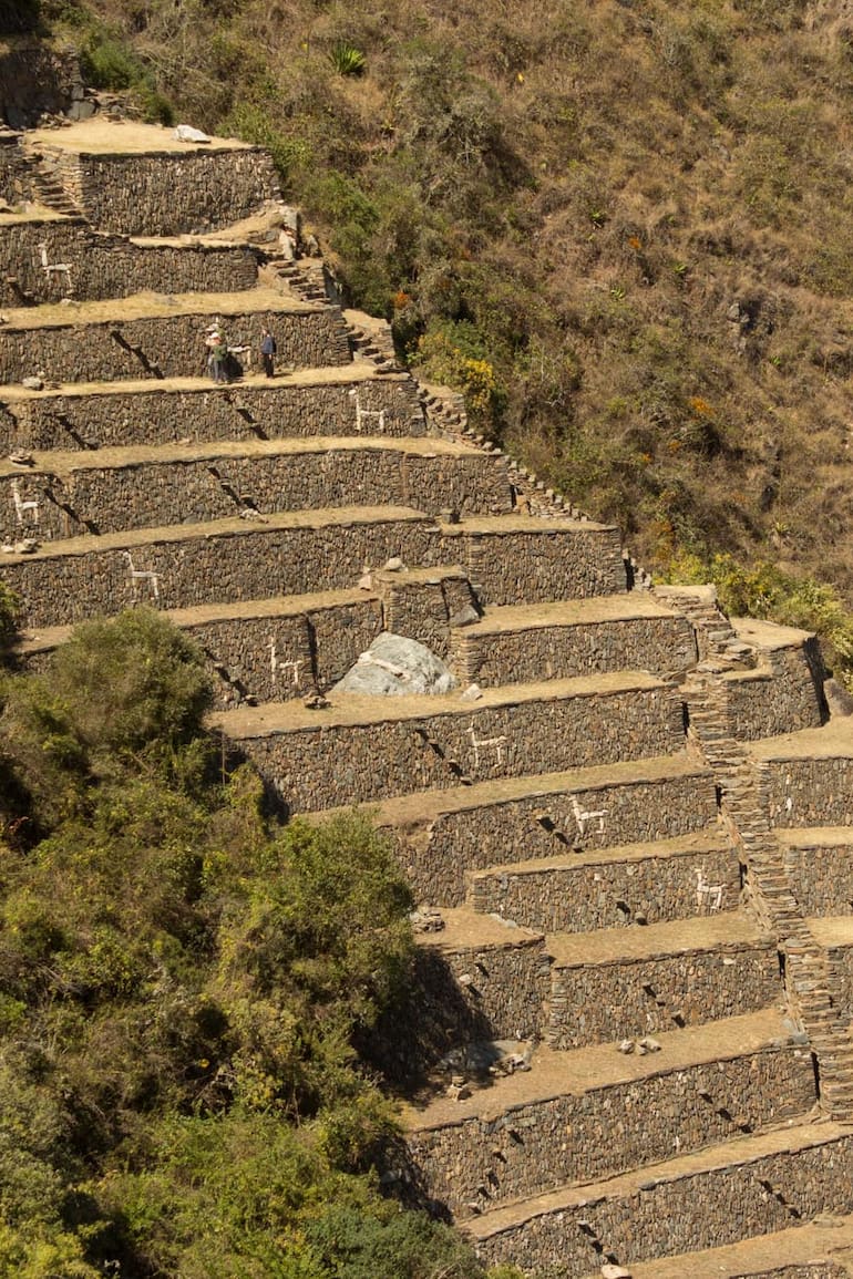 Las terrazas decoradas con llamas, símbolo de Choquequirao. Foto: Luis Agote