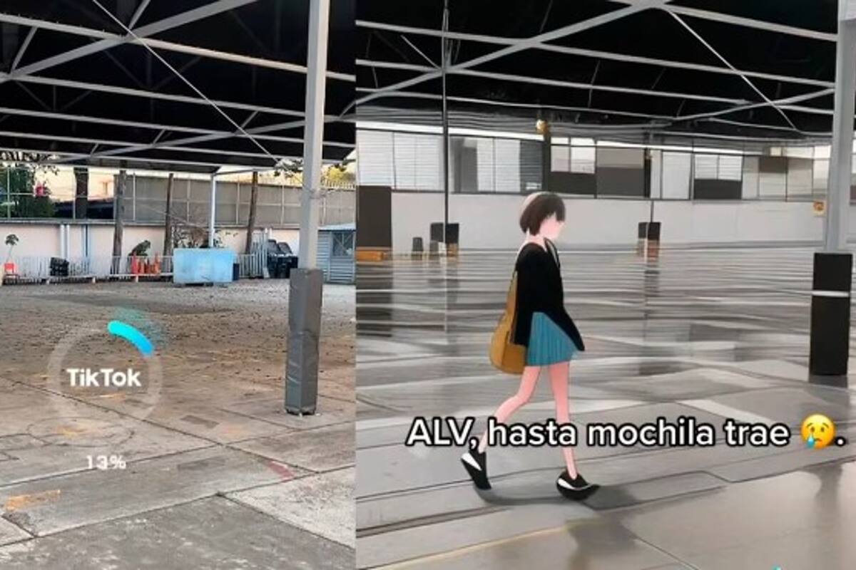 Las terroríficas imágenes se viralizaron en la red social. Fuente: TikTok