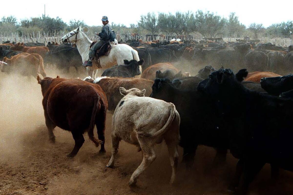 Las tonalidades diversas contribuyen para adaptar al animal a su entorno